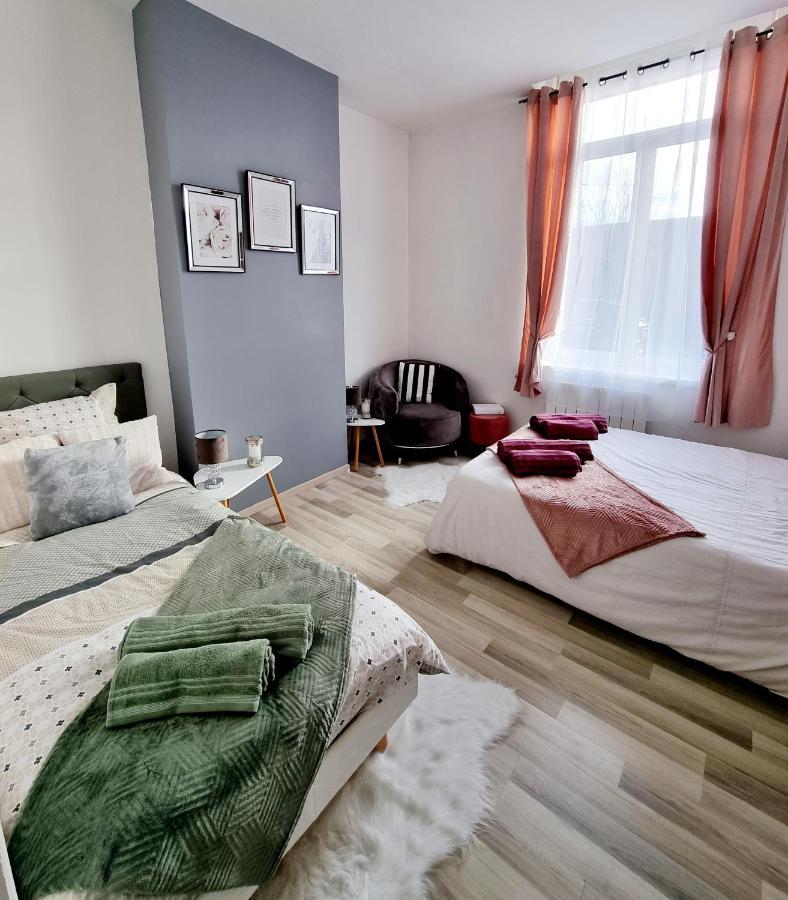 Oasis Citadine Terrasse Intime Jardin Privatif En Plein Centre Ville 70M2 كامبراي المظهر الخارجي الصورة